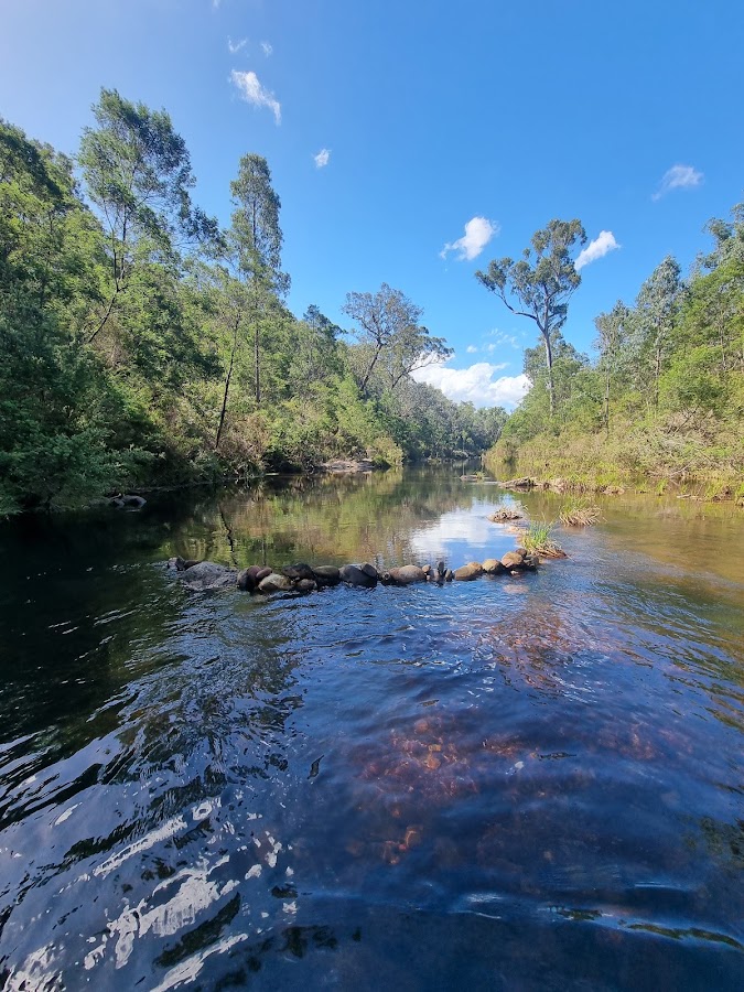 Valencia State Forest