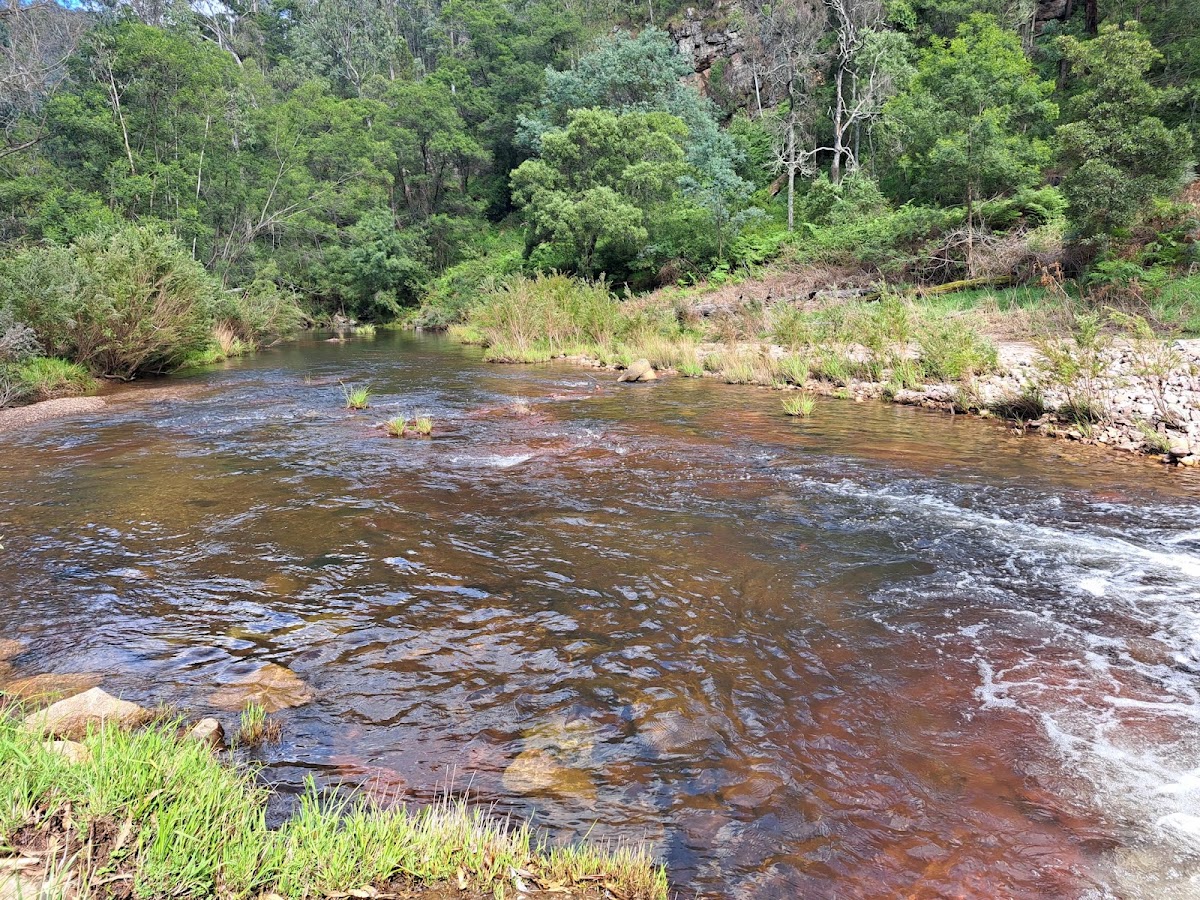 Valencia State Forest