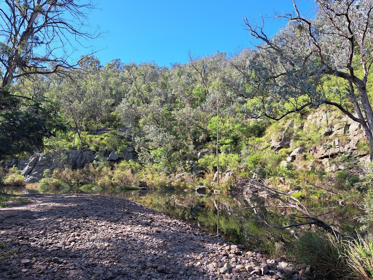Valencia State Forest