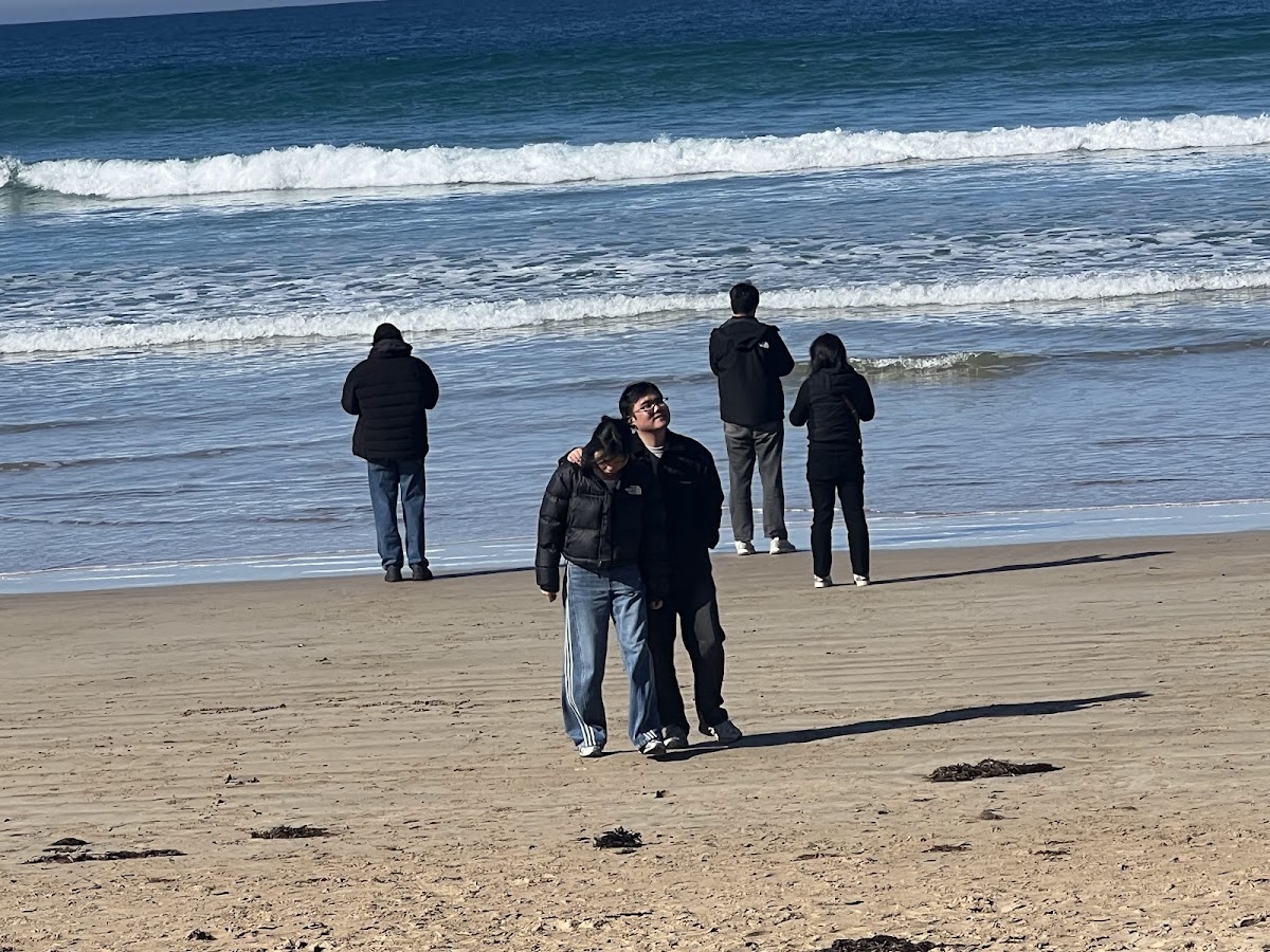 Lorne-Queenscliff Coastal Reserve
