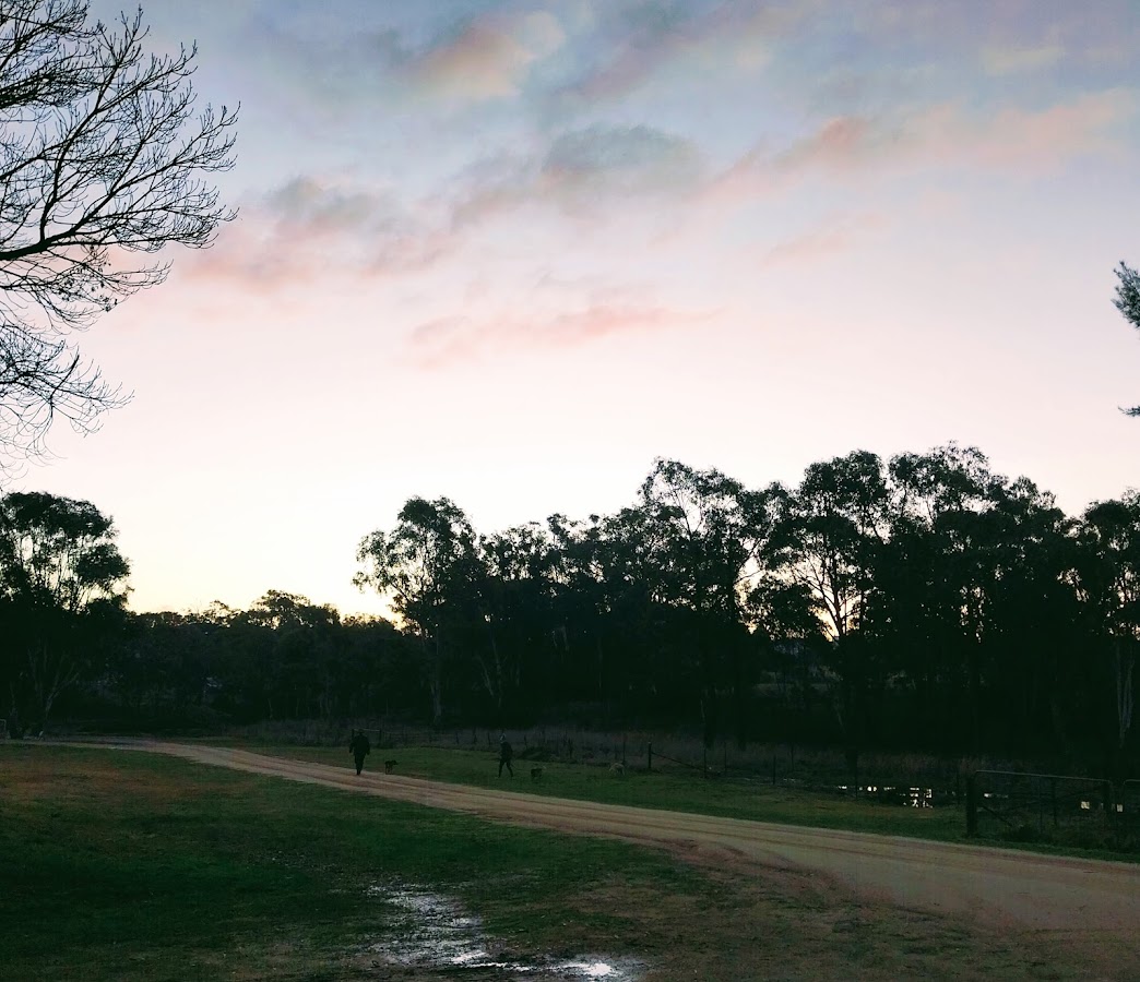 Quandialla (Showground) Free Camp