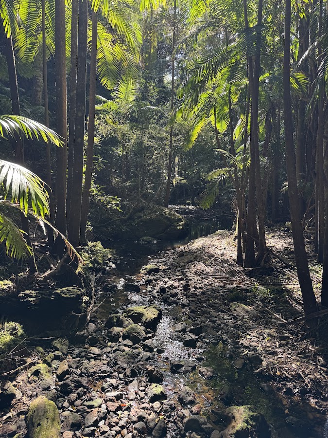 Mount Jerusalem National Park
