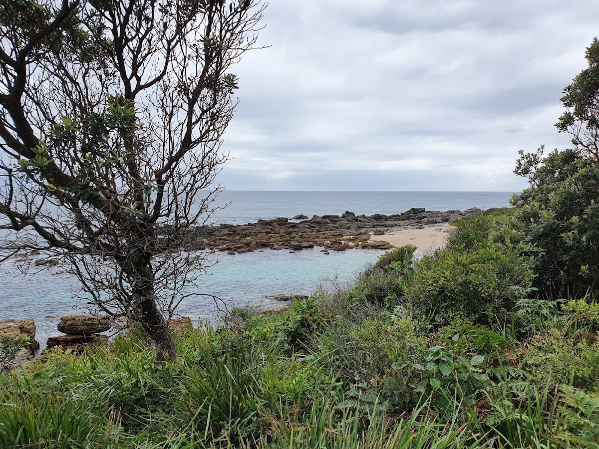 Wilsons Beach