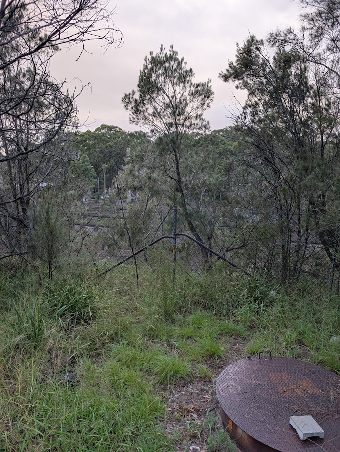 Birmingham Lookout