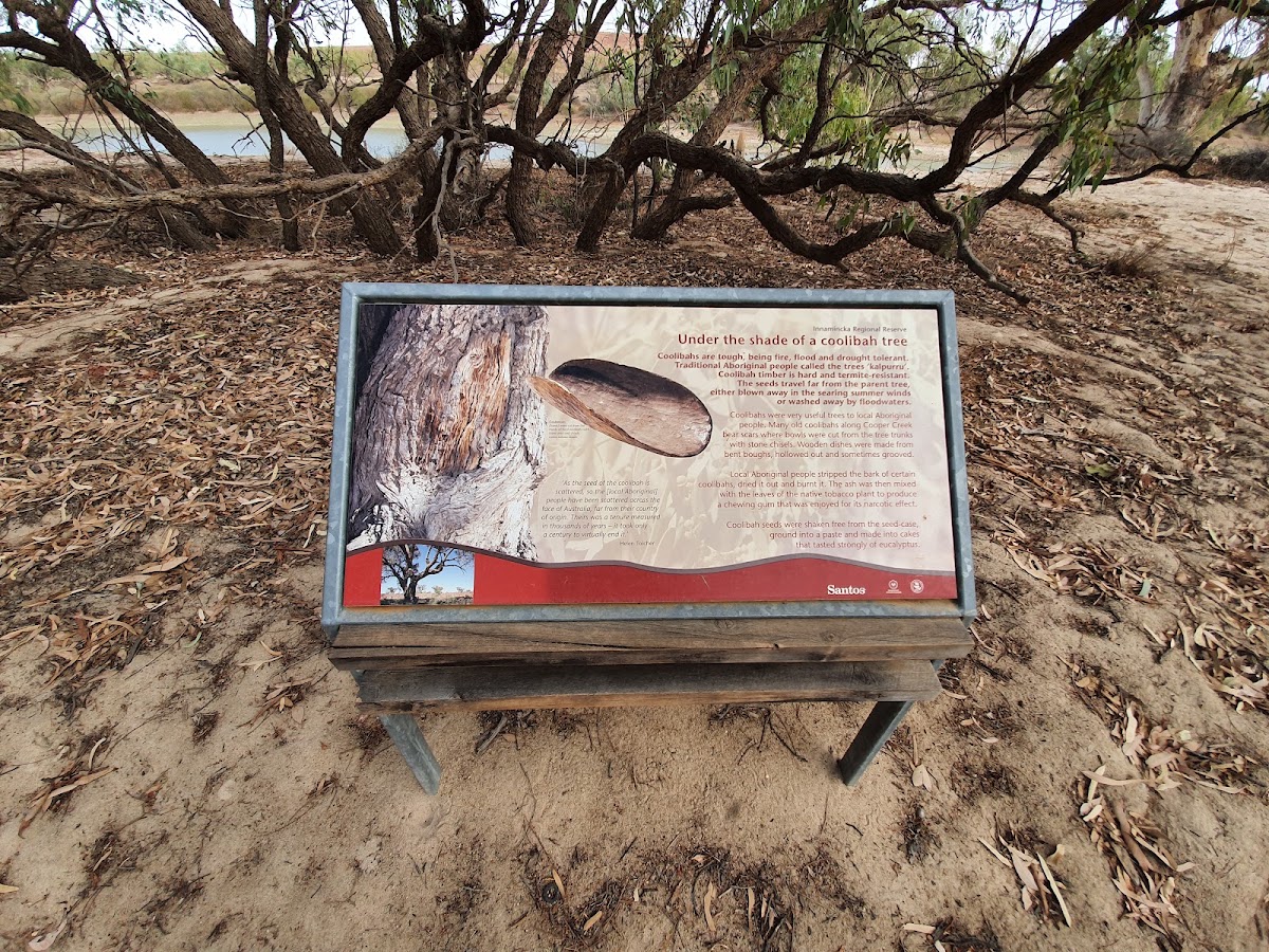 Burke's Grave Camp Area
