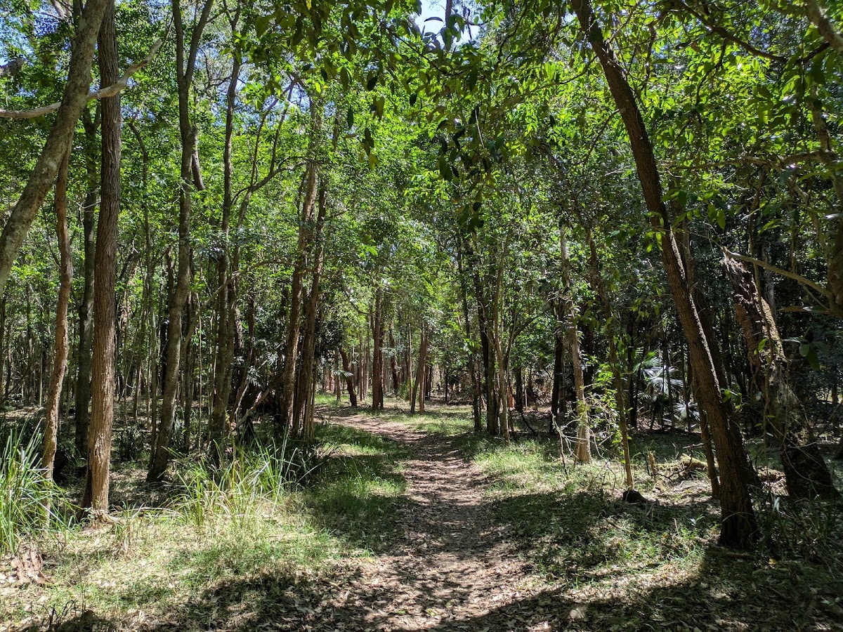 Seven Mile Beach National Park