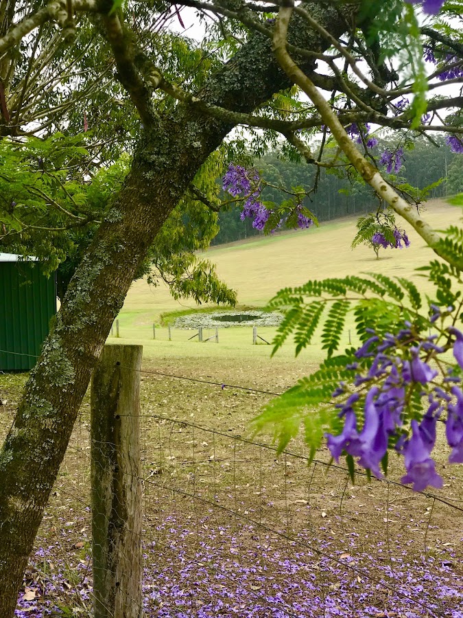 Madrigal Farm Camping
