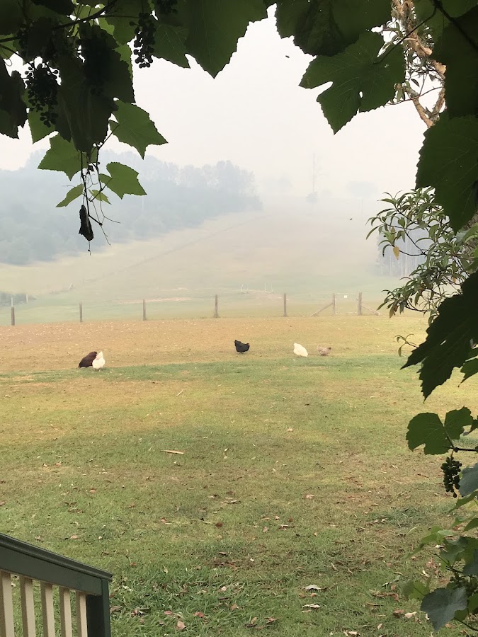 Madrigal Farm Camping