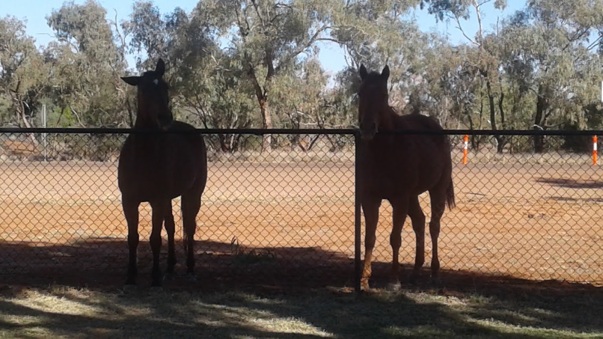 Boulia Caravan Park