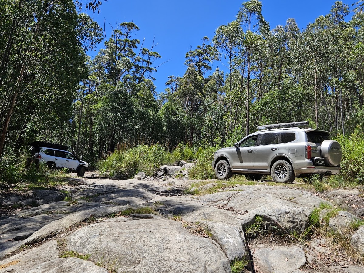 Labertouche State Forest