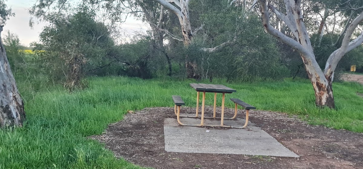 Dongara East Rest Area