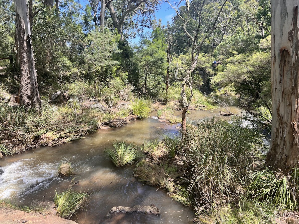 Main Range National Park