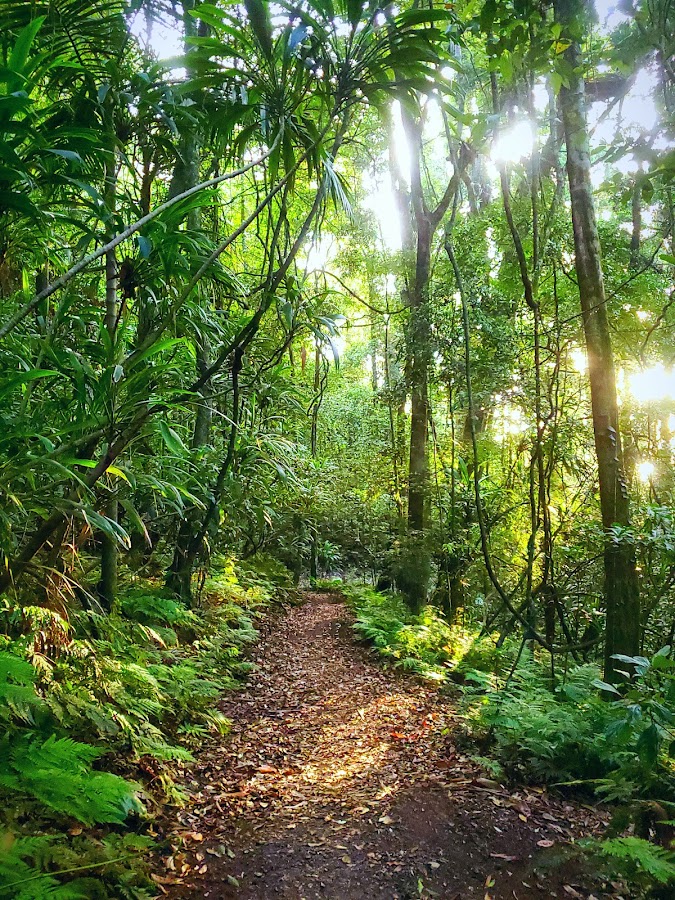 Main Range National Park