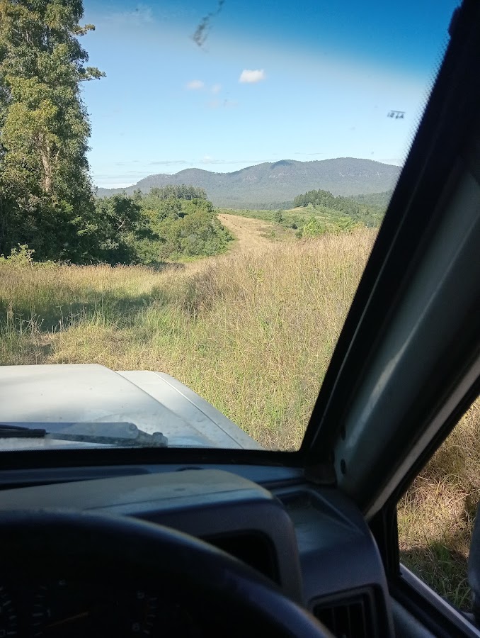 Mount Pikapene National Park