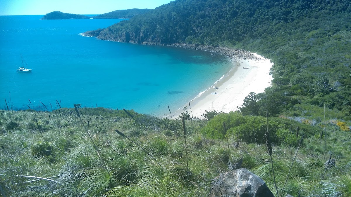 Broad Sound Islands Conservation Park