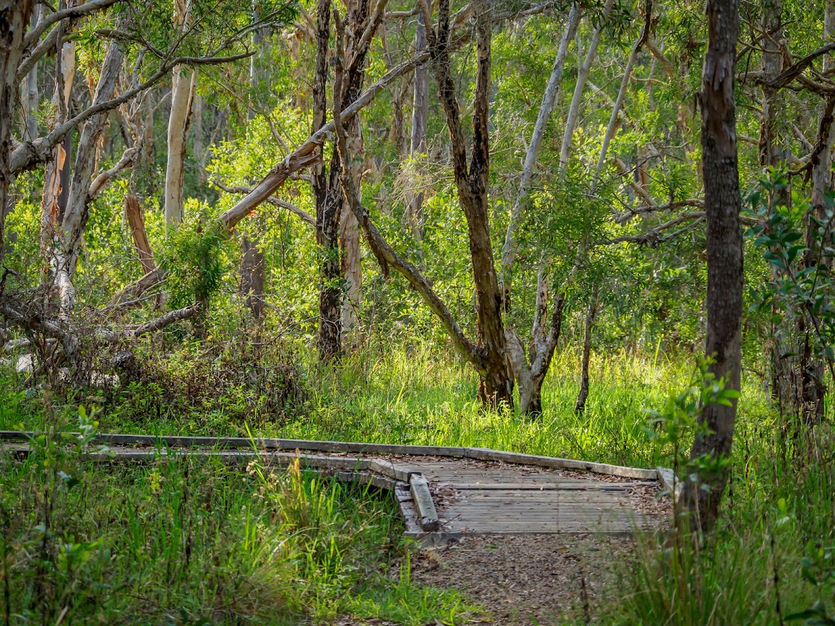 Police Paddock Conservation Park
