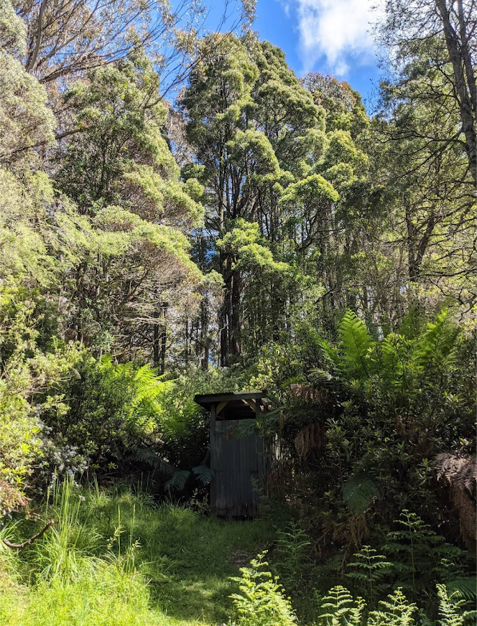 Frosty Hollow Camping Area - Errinundra NP