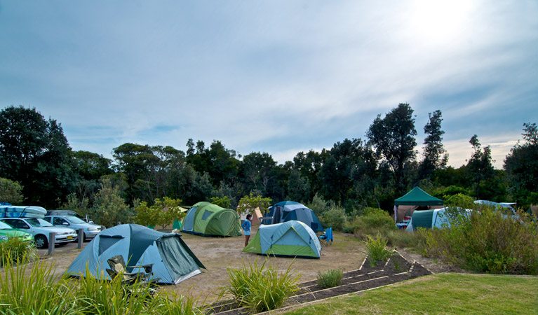 Freemans Camping Area