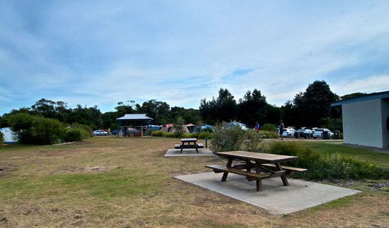 Freemans Camping Area
