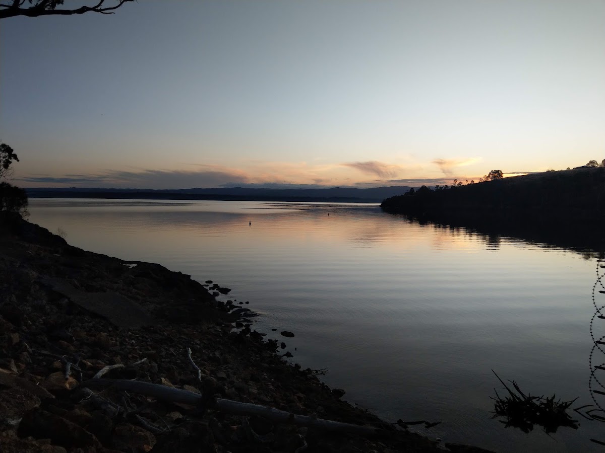 Glenmaggie State Forest