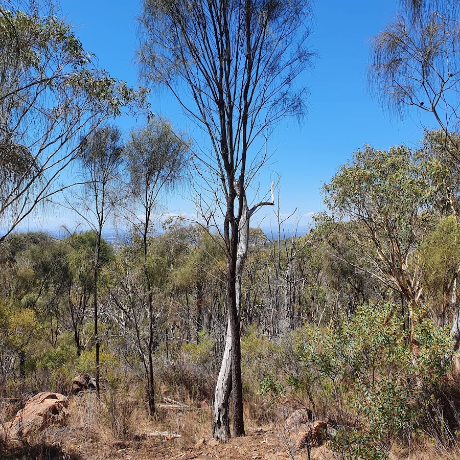 Kwat Kwat Lookout