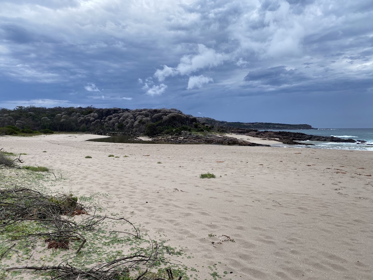 Saltwater Creek Camping Area (2)