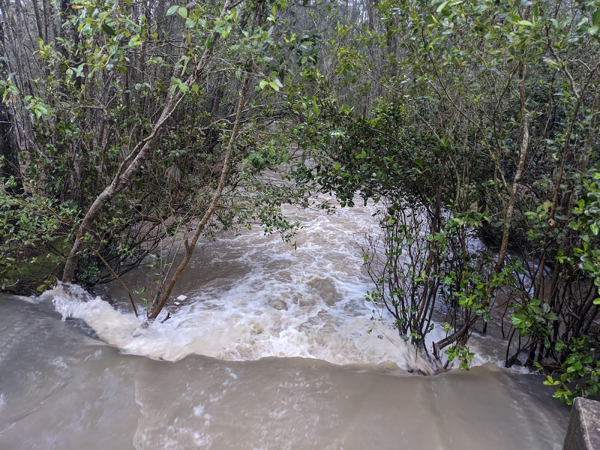 Saltwater Creek Conservation Park