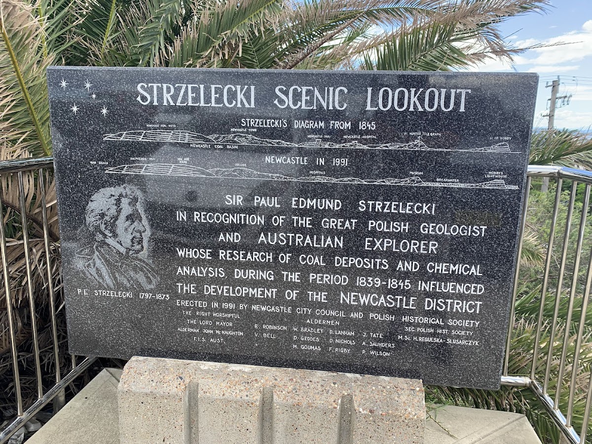 Strzelecki Lookout