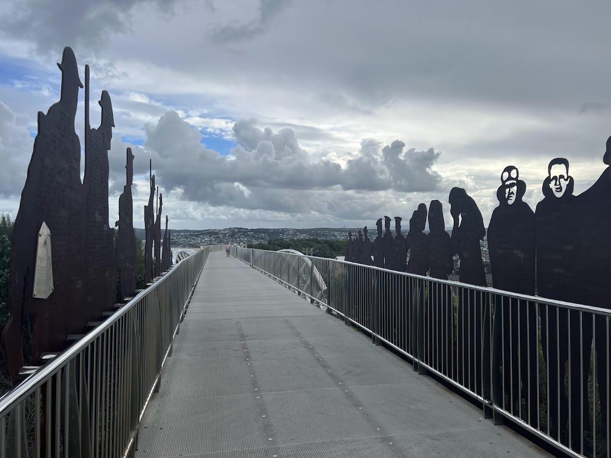 Strzelecki Lookout