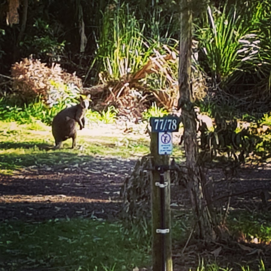 Walkerville Camping Reserve