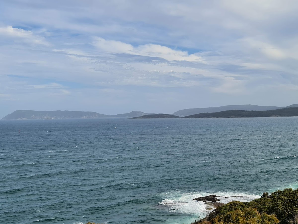 Rotary Lookout