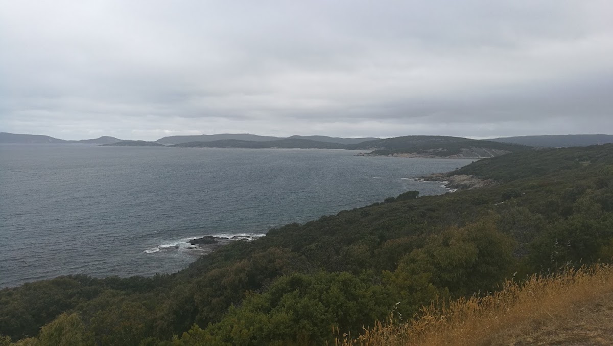 Rotary Lookout