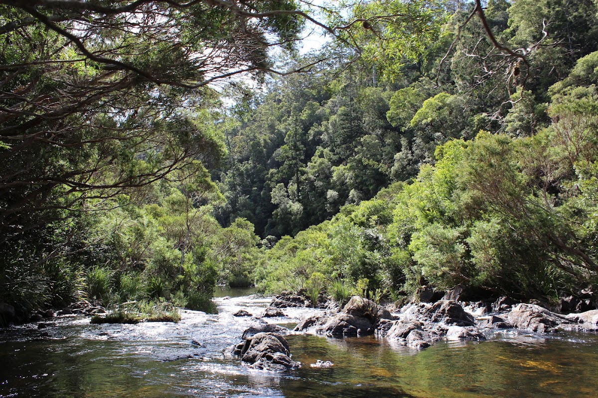 Nymboida National Park