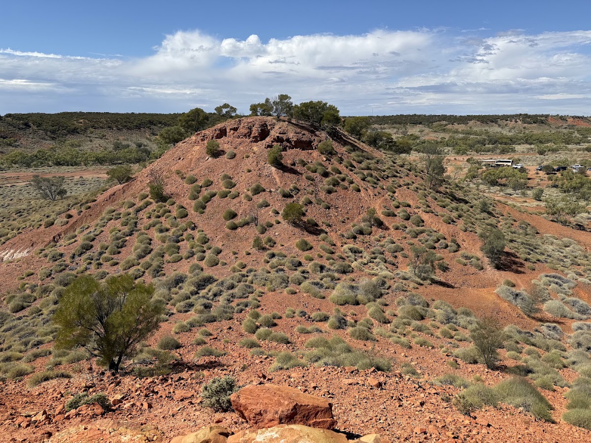 Lark Quarry Conservation Park