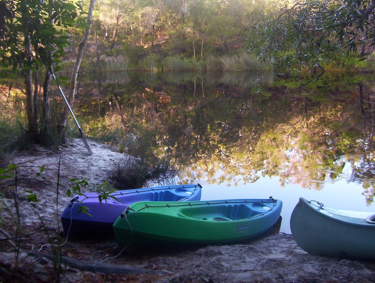 Upper Noosa River Campsite 5
