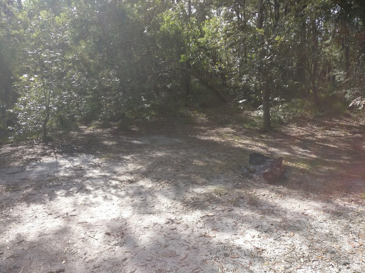 Upper Noosa River Campsite 5