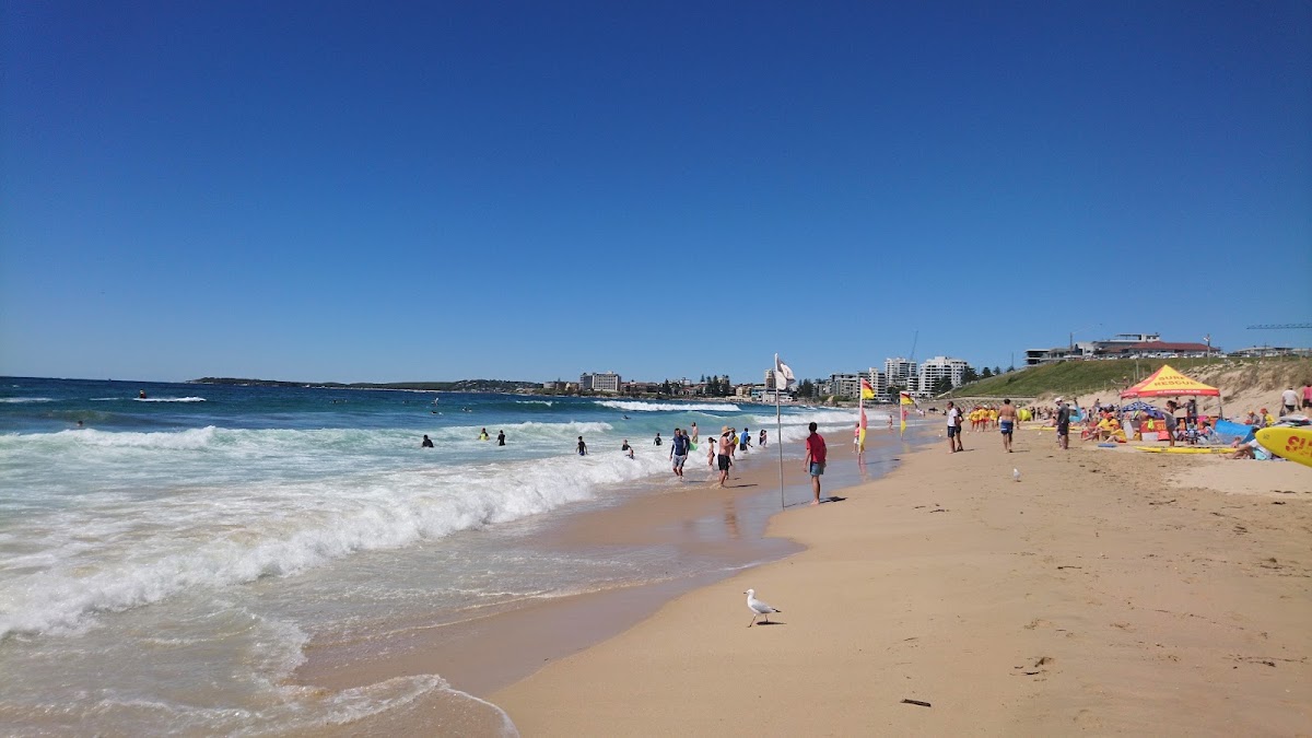 North Cronulla Beach