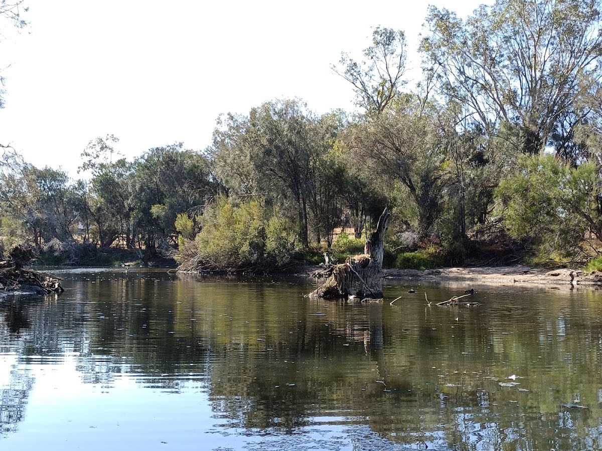 Northam RV 48hr Stay