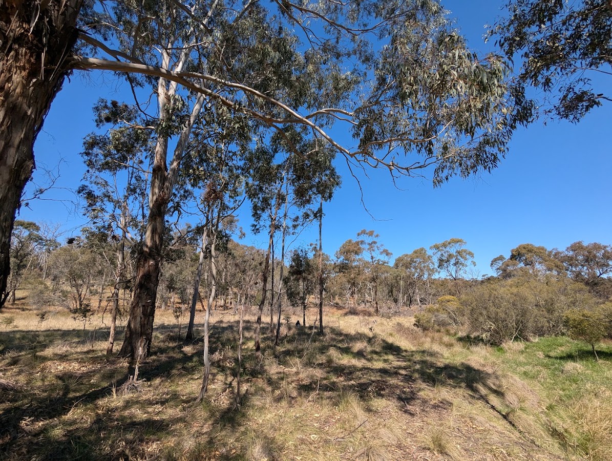 Dumaresq Dam Tents