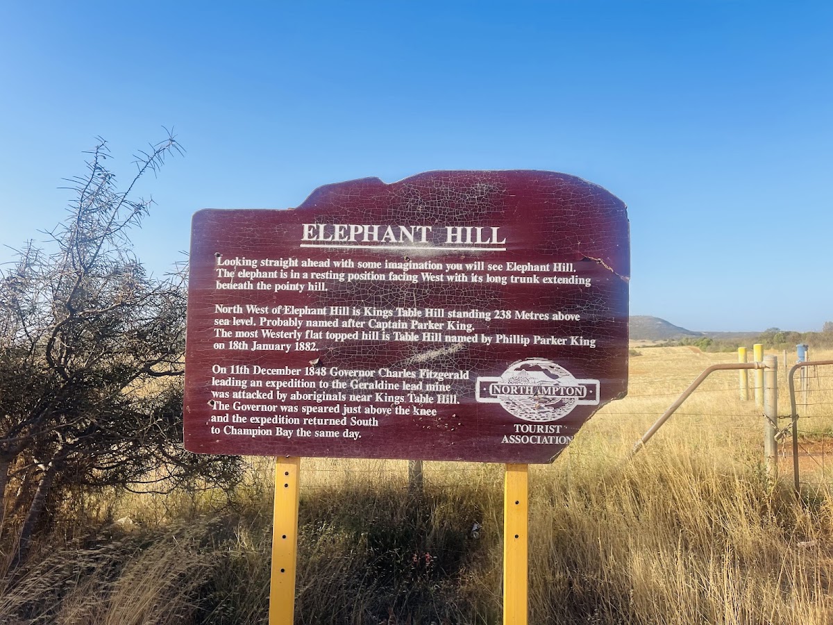 Elephant Hill Lookout
