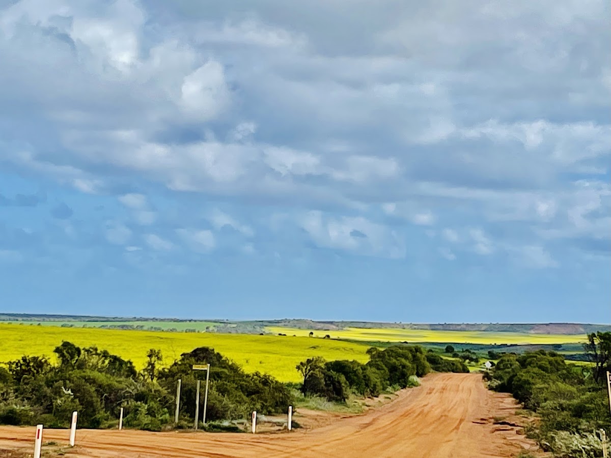 Elephant Hill Lookout
