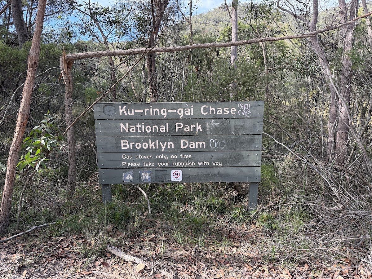 Brooklyn Dam campsite