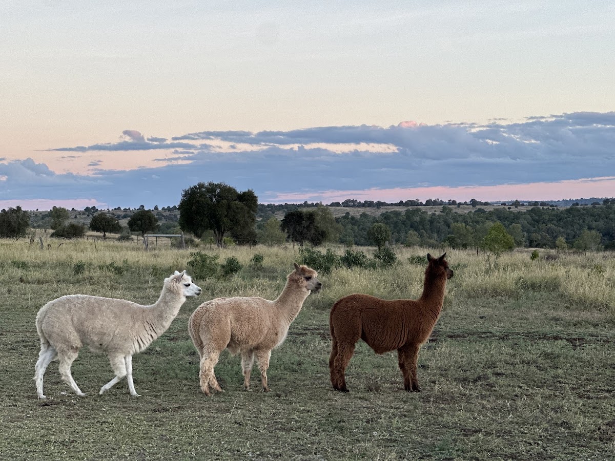 Lawgi Heritage Park & Farm Stay