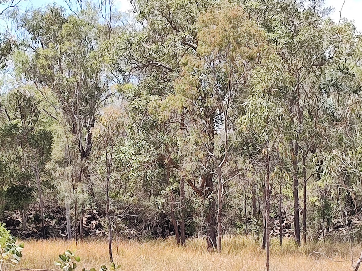 Kinrara National Park