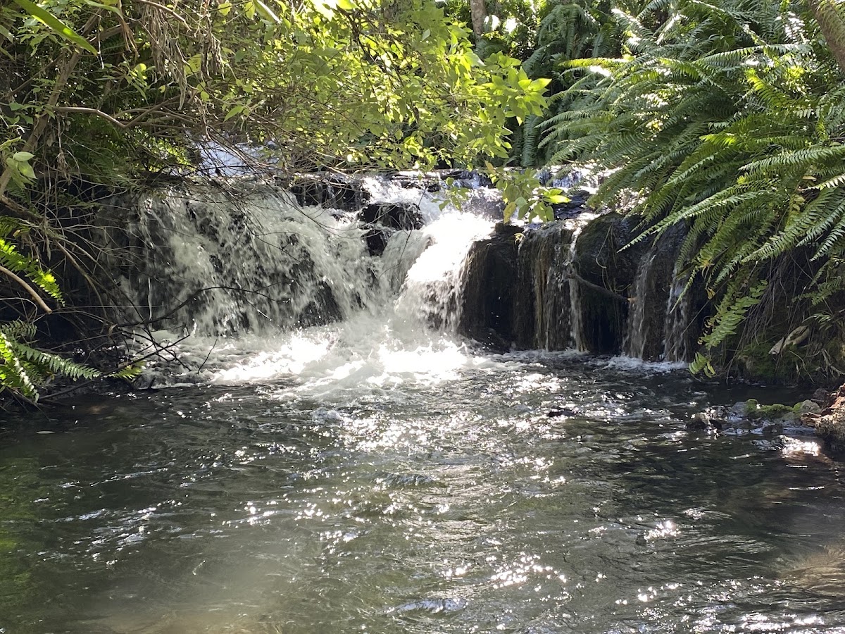 Kinrara National Park