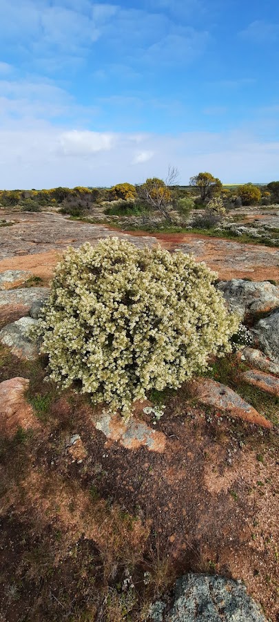 Petrudor Rock