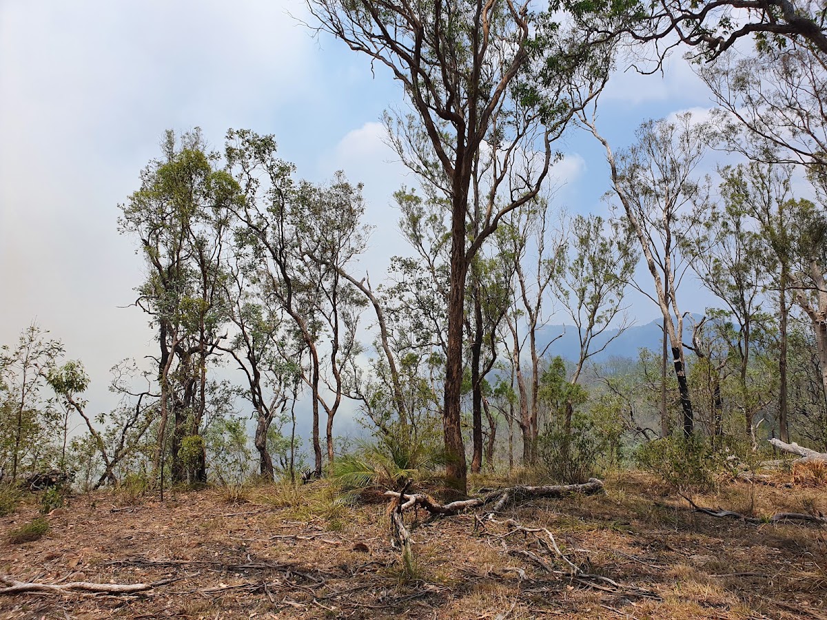 Dawes National Park