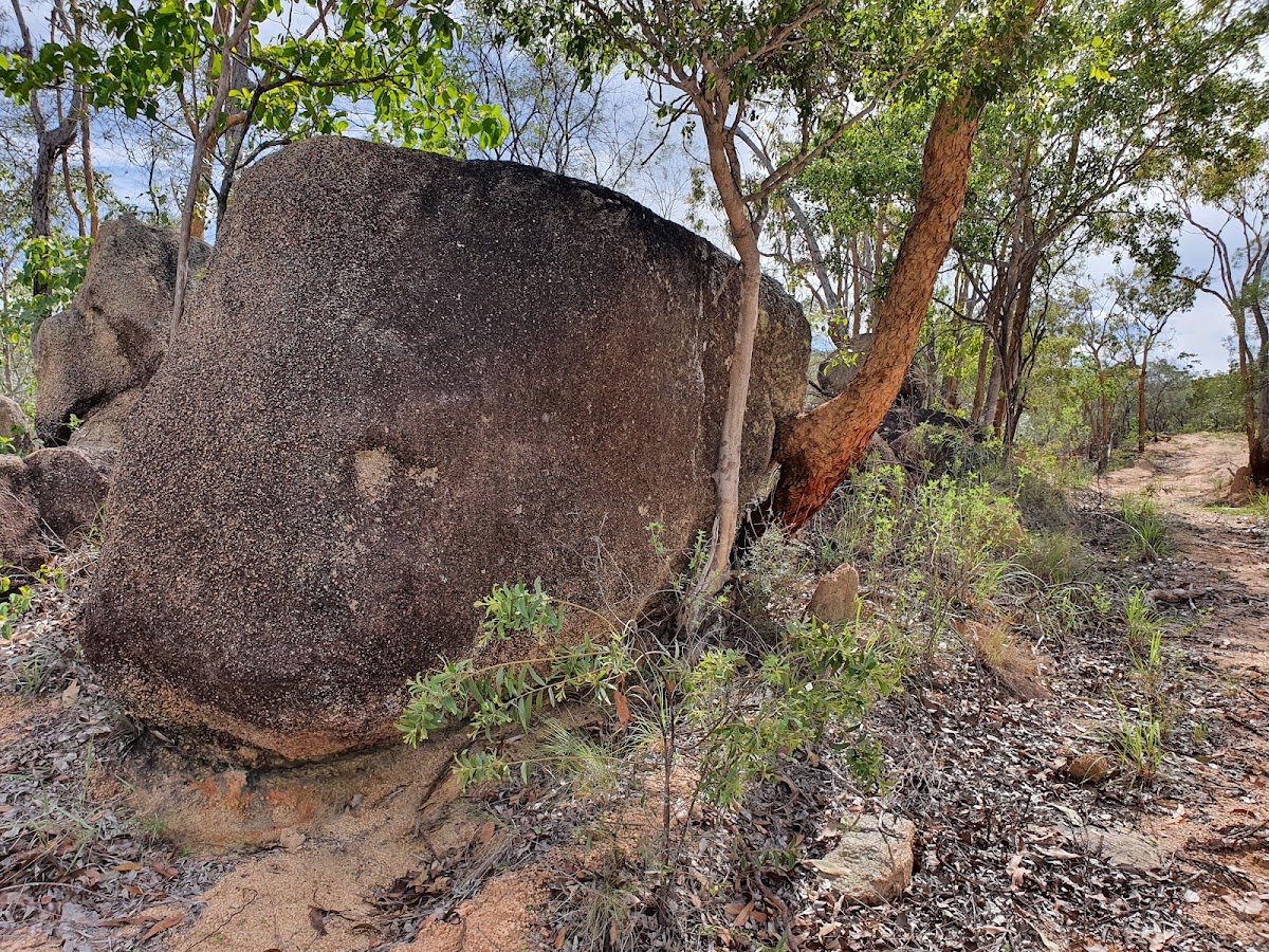 Scardons Top Camp Mine