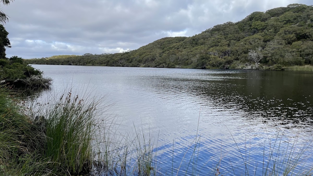 Torbay Campsite