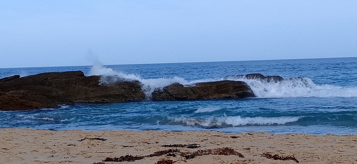Beares Beach